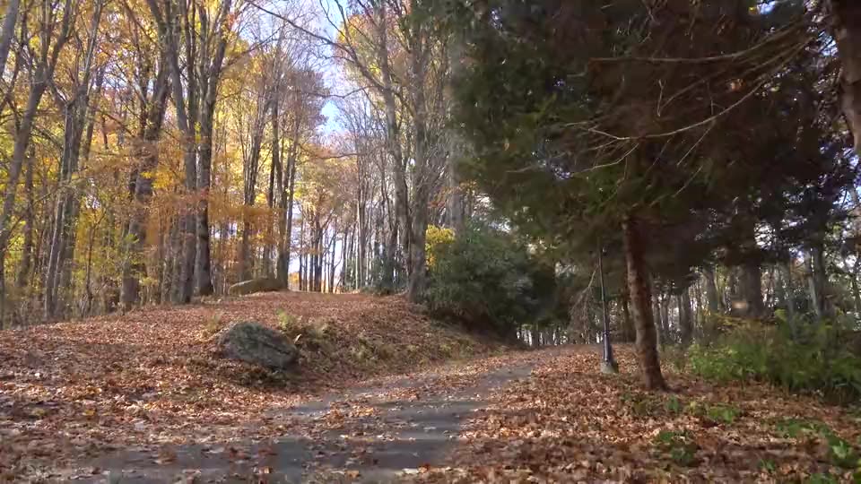 Aerial view of a Blue Pineapple property in the Banner Elk, NC mountains in autumn